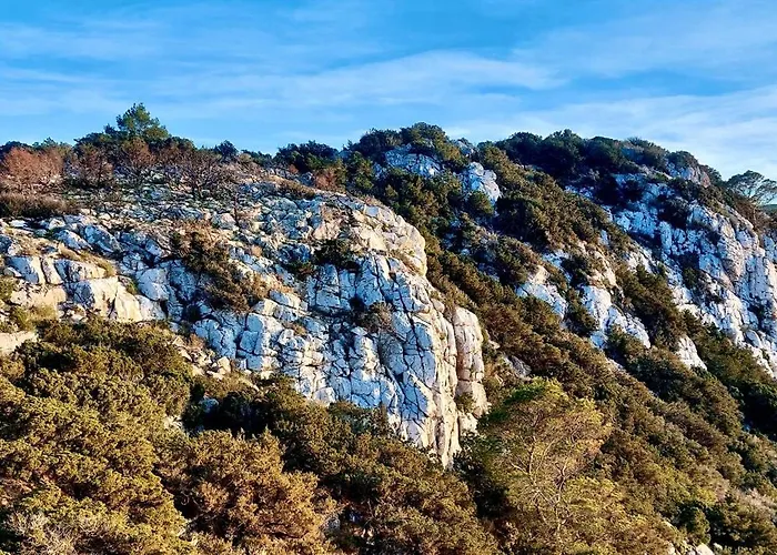 Campo de lujo Karlson - Little On Wheels ! *